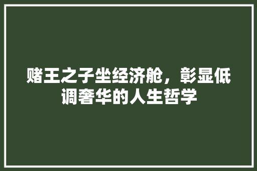 赌王之子坐经济舱,彰显低调奢华的人生哲学 赌王之子坐经济舱,彰显低调奢华的人生哲学