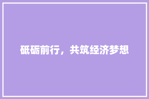砥砺前行，共筑经济梦想