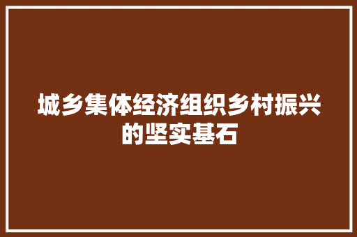 城乡集体经济组织乡村振兴的坚实基石 城乡集体经济组织乡村振兴的坚实基石