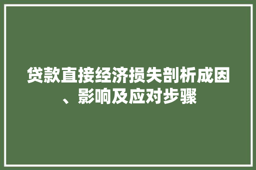 贷款直接经济损失剖析成因、影响及应对步骤 贷款直接经济损失剖析成因、影响及应对步骤