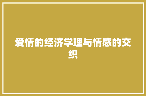 爱情的经济学理与情感的交织 爱情的经济学理与情感的交织