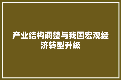 产业结构调整与我国宏观经济转型升级 产业结构调整与我国宏观经济转型升级