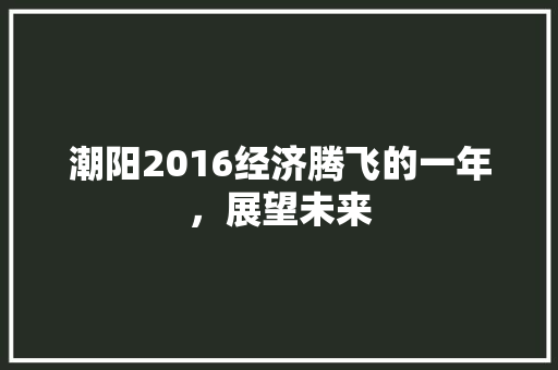 潮阳2016经济腾飞的一年,展望未来 潮阳2016经济腾飞的一年,展望未来