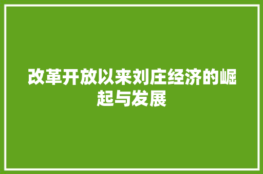 改革开放以来刘庄经济的崛起与发展 改革开放以来刘庄经济的崛起与发展