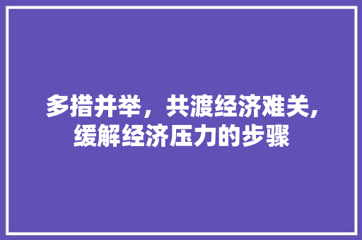 多措并举,共渡经济难关,缓解经济压力的步骤 多措并举,共渡经济难关,缓解经济压力的步骤