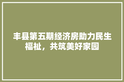 丰县第五期经济房助力民生福祉,共筑美好家园 丰县第五期经济房助力民生福祉,共筑美好家园