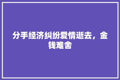 分手经济纠纷爱情逝去,金钱难舍 分手经济纠纷爱情逝去,金钱难舍