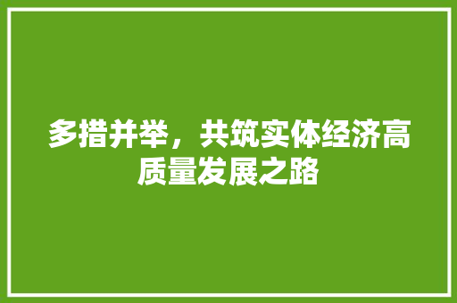 多措并举,共筑实体经济高质量发展之路 多措并举,共筑实体经济高质量发展之路