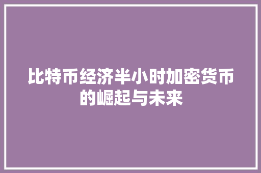 比特币经济半小时加密货币的崛起与未来 比特币经济半小时加密货币的崛起与未来
