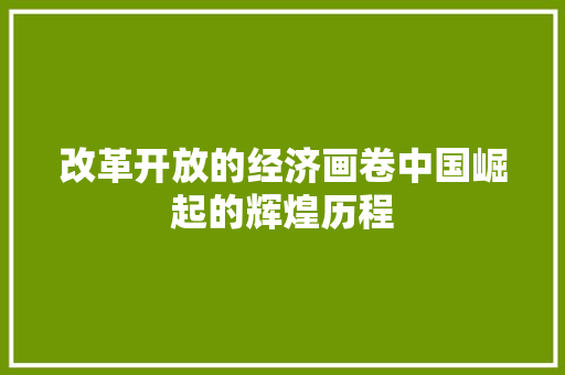 改革开放的经济画卷中国崛起的辉煌历程 改革开放的经济画卷中国崛起的辉煌历程