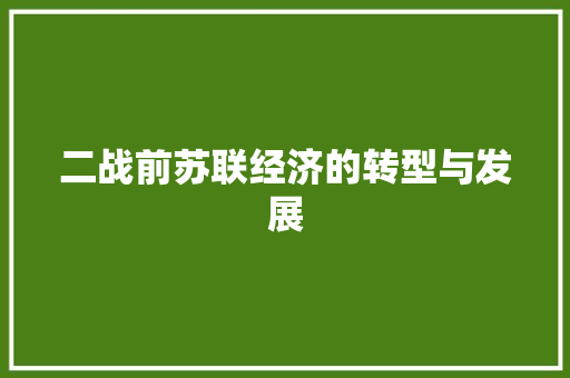 二战前苏联经济的转型与发展 二战前苏联经济的转型与发展