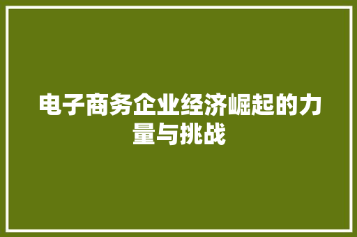 电子商务企业经济崛起的力量与挑战 电子商务企业经济崛起的力量与挑战