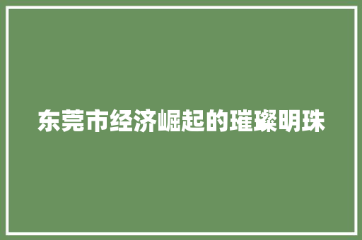 东莞市经济崛起的璀璨明珠 东莞市经济崛起的璀璨明珠