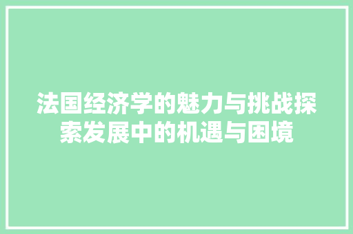 法国经济学的魅力与挑战探索发展中的机遇与困境 法国经济学的魅力与挑战探索发展中的机遇与困境