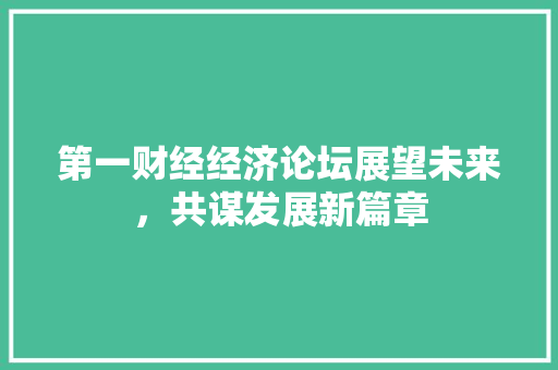 第一财经经济论坛展望未来,共谋发展新篇章 第一财经经济论坛展望未来,共谋发展新篇章