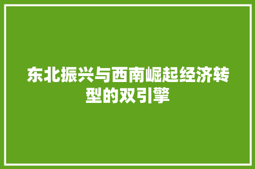 东北振兴与西南崛起经济转型的双引擎 东北振兴与西南崛起经济转型的双引擎