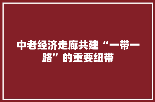 中老经济走廊共建“一带一路”的重要纽带 中老经济走廊共建“一带一路”的重要纽带