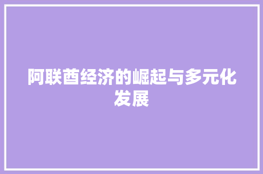 阿联酋经济的崛起与多元化发展 阿联酋经济的崛起与多元化发展