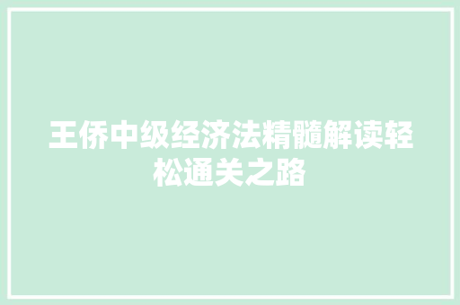 王侨中级经济法精髓解读轻松通关之路 王侨中级经济法精髓解读轻松通关之路
