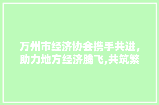 万州市经济协会携手共进,助力地方经济腾飞,共筑繁荣梦想,共创美好未来 万州市经济协会携手共进,助力地方经济腾飞,共筑繁荣梦想,共创美好未来
