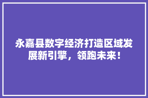 永嘉县数字经济打造区域发展新引擎，领跑未来！