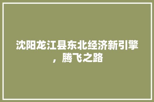 沈阳龙江县东北经济新引擎,腾飞之路 沈阳龙江县东北经济新引擎,腾飞之路