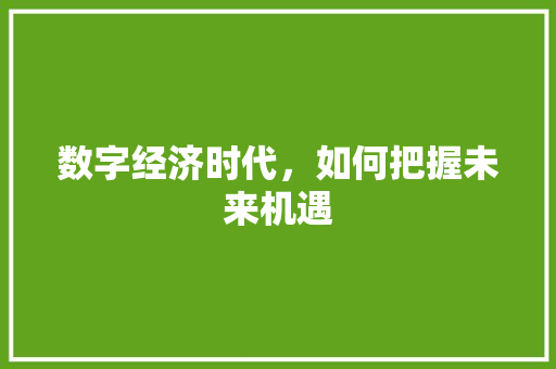 数字经济时代,如何把握未来机遇 数字经济时代,如何把握未来机遇