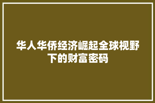 华人华侨经济崛起全球视野下的财富密码 华人华侨经济崛起全球视野下的财富密码
