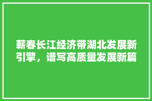 蕲春长江经济带湖北发展新引擎,谱写高质量发展新篇章 蕲春长江经济带湖北发展新引擎,谱写高质量发展新篇章