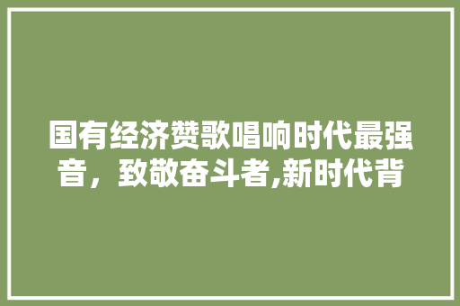 国有经济赞歌唱响时代最强音,致敬奋斗者,新时代背景下国有企业的辉煌历程与辉煌未来 国有经济赞歌唱响时代最强音,致敬奋斗者,新时代背景下国有企业的辉煌历程与辉煌未来