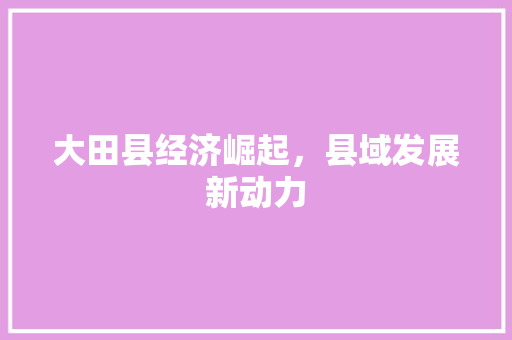 大田县经济崛起,县域发展新动力 大田县经济崛起,县域发展新动力