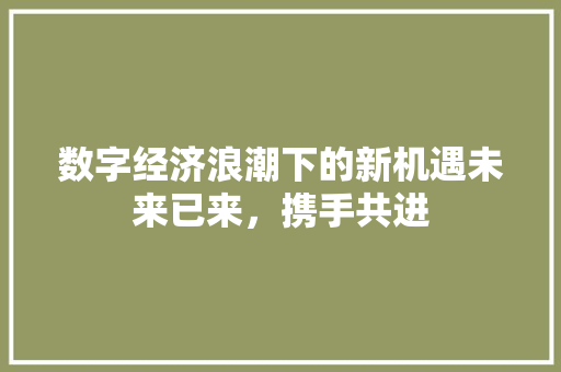 数字经济浪潮下的新机遇未来已来,携手共进 数字经济浪潮下的新机遇未来已来,携手共进