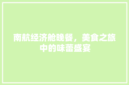 南航经济舱晚餐,美食之旅中的味蕾盛宴 南航经济舱晚餐,美食之旅中的味蕾盛宴