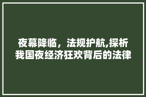 夜幕降临,法规护航,探析我国夜经济狂欢背后的法律框架 夜幕降临,法规护航,探析我国夜经济狂欢背后的法律框架