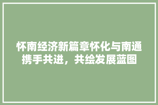 怀南经济新篇章怀化与南通携手共进，共绘发展蓝图