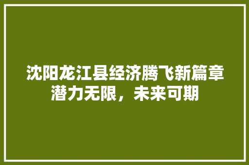 沈阳龙江县经济腾飞新篇章潜力无限,未来可期 沈阳龙江县经济腾飞新篇章潜力无限,未来可期