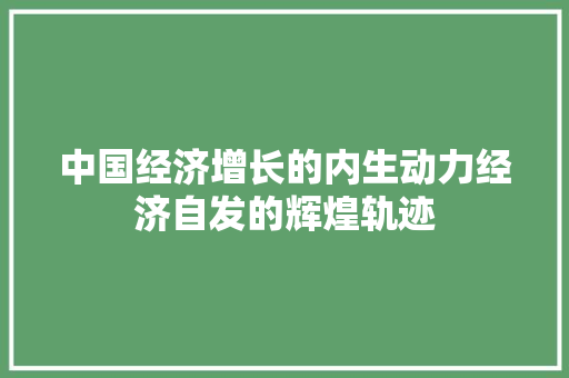 中国经济增长的内生动力经济自发的辉煌轨迹 中国经济增长的内生动力经济自发的辉煌轨迹