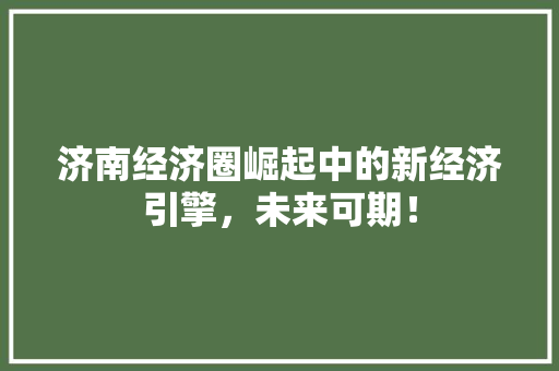 济南经济圈崛起中的新经济引擎,未来可期! 济南经济圈崛起中的新经济引擎,未来可期!