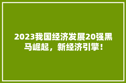 2023我国经济发展20强黑马崛起,新经济引擎! 2023我国经济发展20强黑马崛起,新经济引擎!