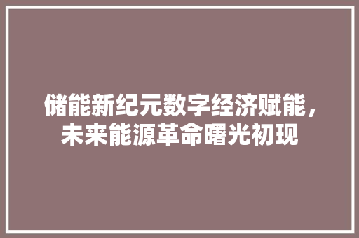 储能新纪元数字经济赋能,未来能源革命曙光初现 储能新纪元数字经济赋能,未来能源革命曙光初现