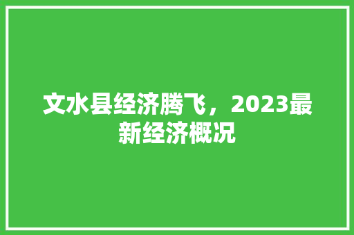 文水县经济腾飞,2023最新经济概况 文水县经济腾飞,2023最新经济概况