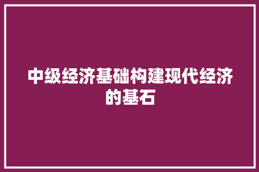 中级经济基础构建现代经济的基石 中级经济基础构建现代经济的基石