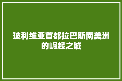 玻利维亚首都拉巴斯南美洲的崛起之城 玻利维亚首都拉巴斯南美洲的崛起之城