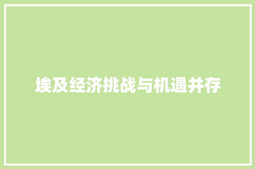埃及经济挑战与机遇并存