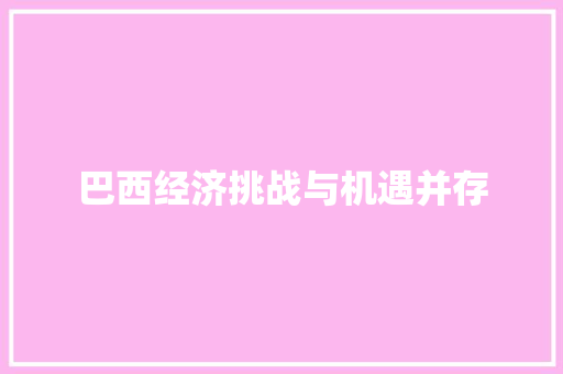 巴西经济挑战与机遇并存 巴西经济挑战与机遇并存