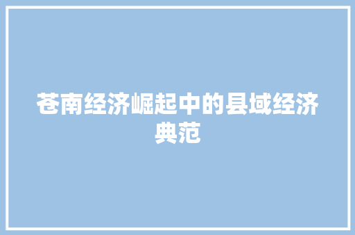 苍南经济崛起中的县域经济典范 苍南经济崛起中的县域经济典范