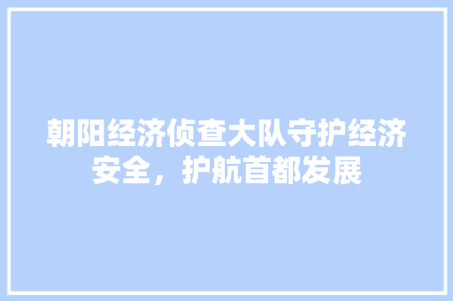 朝阳经济侦查大队守护经济安全,护航首都发展 朝阳经济侦查大队守护经济安全,护航首都发展
