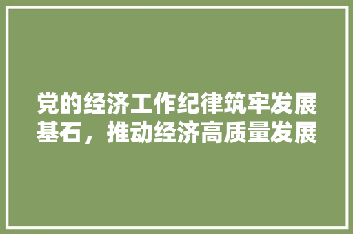 党的经济工作纪律筑牢发展基石,推动经济高质量发展 党的经济工作纪律筑牢发展基石,推动经济高质量发展