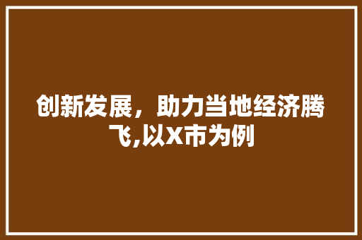 创新发展,助力当地经济腾飞,以X市为例 创新发展,助力当地经济腾飞,以X市为例