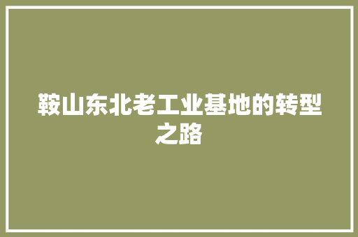 鞍山东北老工业基地的转型之路 鞍山东北老工业基地的转型之路